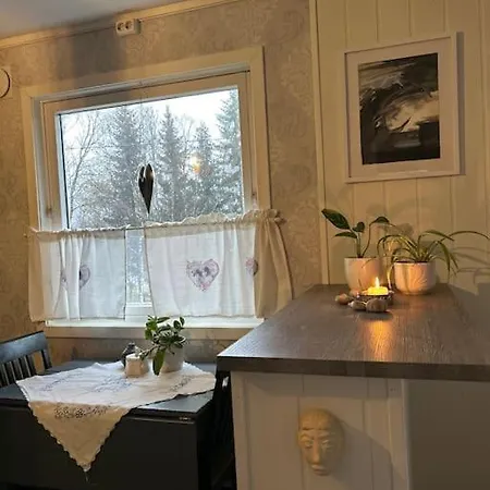 House With Charm, Valley With Lots Of Northern Lights, Breivikeidet *