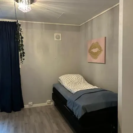 House With Charm, Valley With Lots Of Northern Lights, Breivikeidet 特罗姆瑟