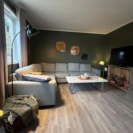 House With Charm, Valley With Lots Of Northern Lights, Breivikeidet Tromso