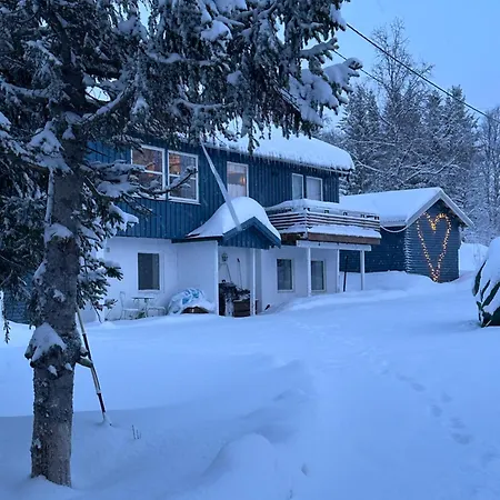 House With Charm, Valley With Lots Of Northern Lights, Breivikeidet *