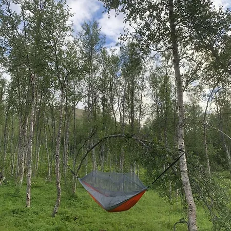 House With Charm, Valley With Lots Of Northern Lights, Breivikeidet *