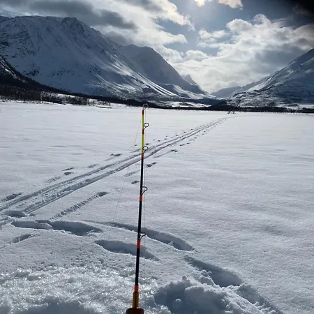 House With Charm, Valley With Lots Of Northern Lights, Breivikeidet 特罗姆瑟
