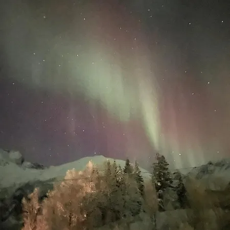 度假居 House With Charm, Valley With Lots Of Northern Lights, Breivikeidet 特罗姆瑟