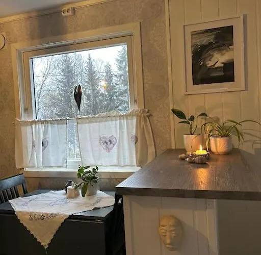 House With Charm, Valley With Lots Of Northern Lights, Breivikeidet *