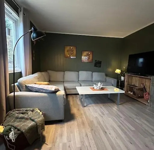 House With Charm, Valley With Lots Of Northern Lights, Breivikeidet 트롬쇠