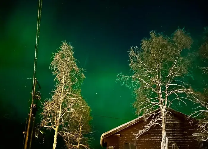 Feriehus House With Charm, Valley With Lots Of Northern Lights, Breivikeidet Tromsø