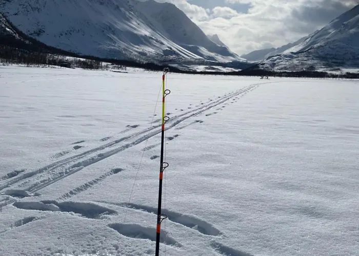 House With Charm, Valley With Lots Of Northern Lights, Breivikeidet Tromsø