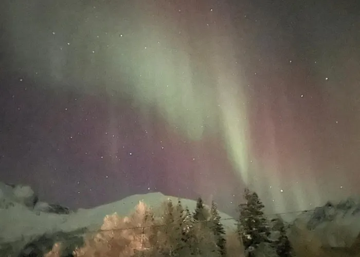 펜션 House With Charm, Valley With Lots Of Northern Lights, Breivikeidet 트롬쇠
